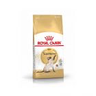 Royal Canin Siamois Adult 38 4 kg- La Compagnie des Animaux