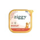 Ziggy Paté senza cereali al manzo Gattino 16 x 100 g
