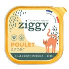 Ziggy Paté senza cereali al pollo Gatto sterilizzato 16 x 100 g