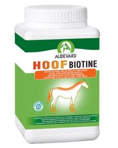 Hoof Biotine 1 kg