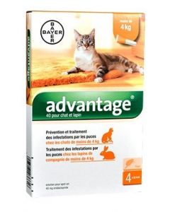 Advantage 40 chat et lapin de 1 à 4 kg - 4 pipettes- La Compagnie des Animaux
