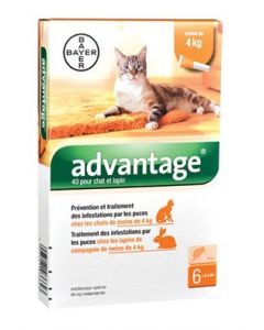Advantage 40 chat et lapin de 1 à 4 kg - 6 pipettes- La Compagnie des Animaux