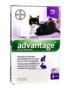 Advantage 80 chat et lapin de plus de 4 kg - 4 pipettes- La Compagnie des Animaux