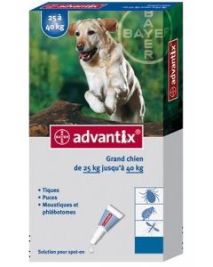 Advantix grand chien (25 - 40 kg) - 6 pipettes- La Compagnie des Animaux