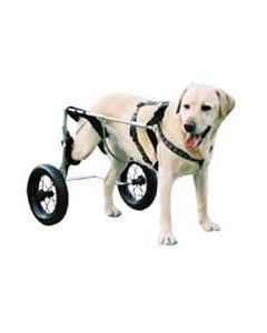 Carrello Canis Mobile per cani paralizzati alle zampe posteriori GM