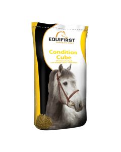 Equifirst Condition Cube cavallo 20 kg