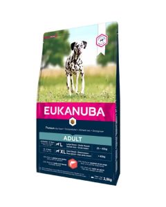 Eukanuba Adult Large Breed con Salmone & Orzo per Cane 2.5 kg