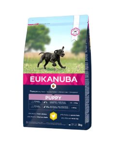 Eukanuba Growing Puppy Large Breed  con Pollo 3 kg