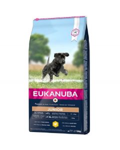 Eukanuba Junior Large Breed con Pollo per Cane 15 kg