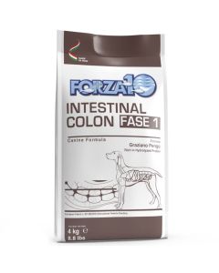 Forza10 Intestinal Colon Fase 1 Cane 4 kg
