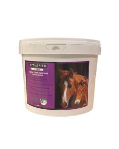 Greenvet Hippiagreen Stomaco Cavallo 1.2 kg