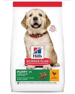 Hill's Science Plan Canine Puppy Large al pollo 16 kg