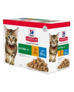 Hill's Science Plan Feline Kitten Multipack bustine 12 x 85 g