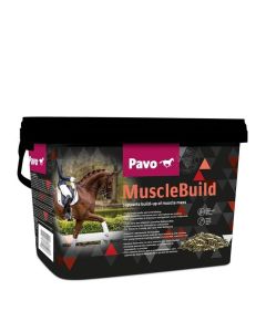 Pavo MuscleBuild Cavallo 3 kg