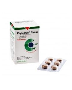 Phytophale cane 276 cpr