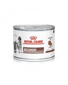 Royal Canin Vet Recovery 12 x 195 g