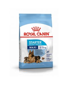 Royal Canin Maxi Starter Mother and Babydog - La Compagnie des Animaux