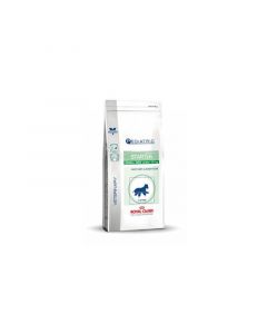 Royal Canin Vet Care Nutrition Pediatric Starter Small Dog Chiot 1.5 kg (La compagnie des animaux