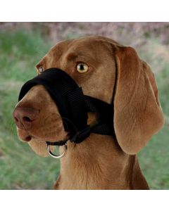 Trixie muselière sangle nylon avec doublure souple pour chien L- La Compagnie des Animaux