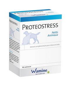 Wamine Proteostress 36 cpr