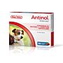 Antinol pour Chien