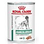 Royal Canin Vet Chien Diabetic Special 12 x 410 g