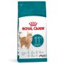 Royal Canin Féline Ageing 11+ 4 kg
