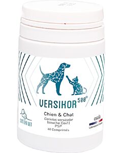 Versikor 500 chien et chat 60 cps

