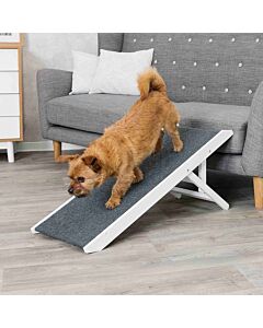 Trixie Rampa di accesso antiscivolo per cani e gatti