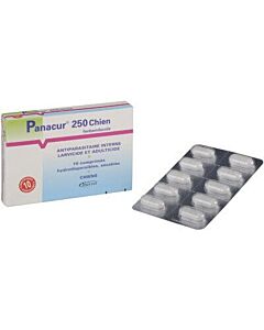 Panacur 250 Cane 10 cpr