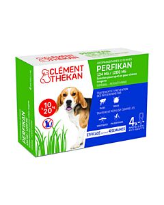 Clément Thékan Perfikan Chien