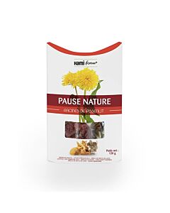 Hami Form radice di tarassaco pause nature roditori 120 g