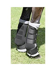 Back on Track Stinchiere da trasporto per Cavallo taglia M - Purosangue x 4