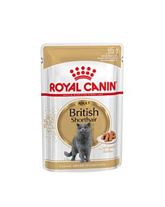 Royal Canin British Shorthair Adult 12 x 85 g