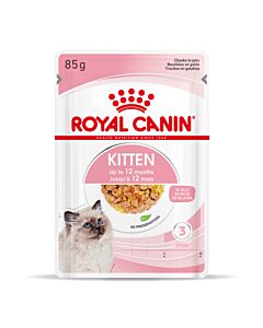 Royal Canin Kitten bustina in gelatina 12 x 85 g