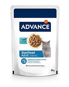 Advance Chat Adulte Stérilisé