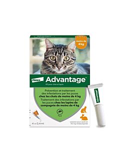 Advantage 40 chat et lapin de 1 à 4 kg pipettes x4

