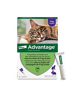 Advantage 80 chat et lapin + de 4 kg pipettes x4
