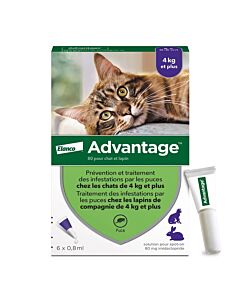 Advantage 80 chat et lapin de + de 4 kg pipettes x6

