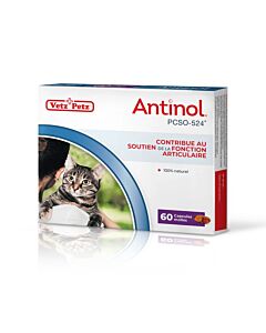 Antinol pour Chat

