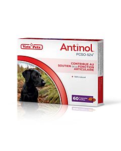 Antinol pour Chien 60 capsules

