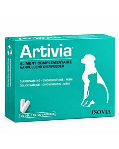 Artivia Soutien de la fonction articulaire 2 x 15 comprimés