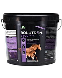 Audevard Bonutron Stud G1-L6 cheval