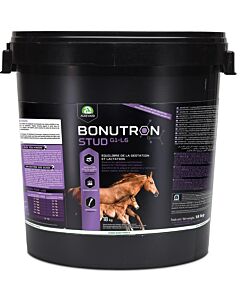 Audevard Bonutron Stud G1-L6 cheval