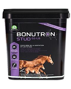 Audevard Bonutron Stud G1-L6 cheval