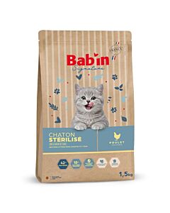 Bab'in Signature Chaton