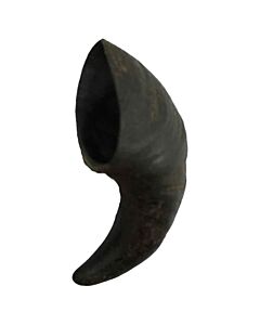 Bubimex Corne de Buffle S - La Compagnie des Animaux