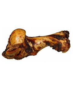 Bubimex Osso di mammut 1.8 kg