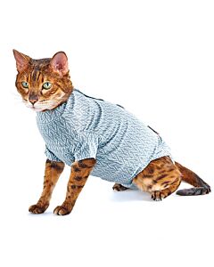 Buster Body Step'n Go pour chat