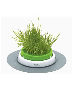 Fontaine à eau Cat It 3 L - La Compagnie des Animaux